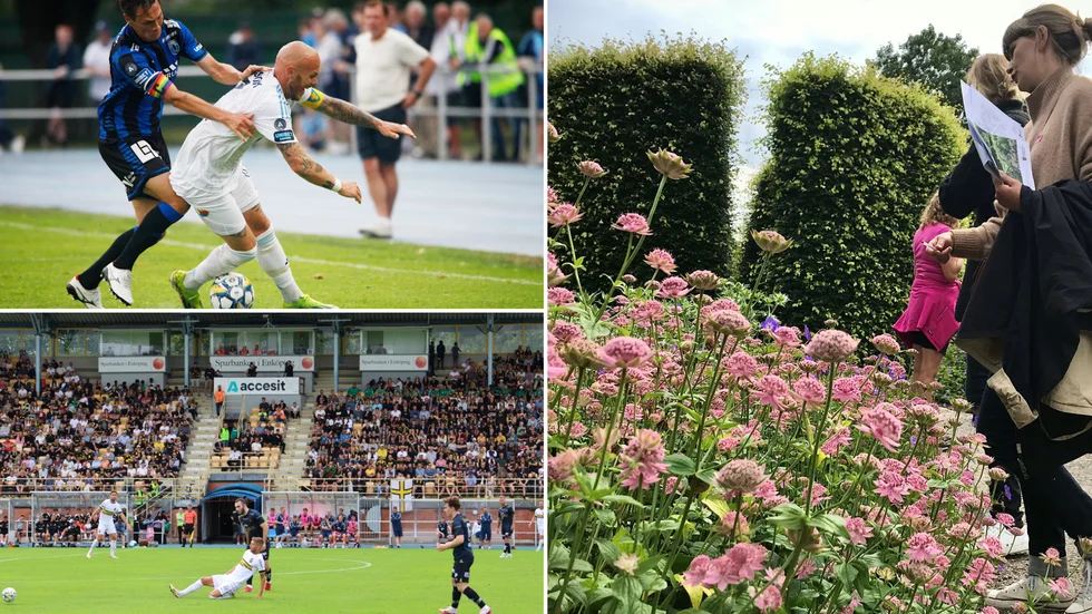Sirius-Djurgården, AIK-Stavanger och Drömparken