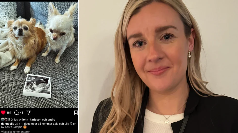 Vimmerby IF:s målfarliga forward Nathalie Johansson är gravid och gjorde sin sista match för säsongen på lördagen.