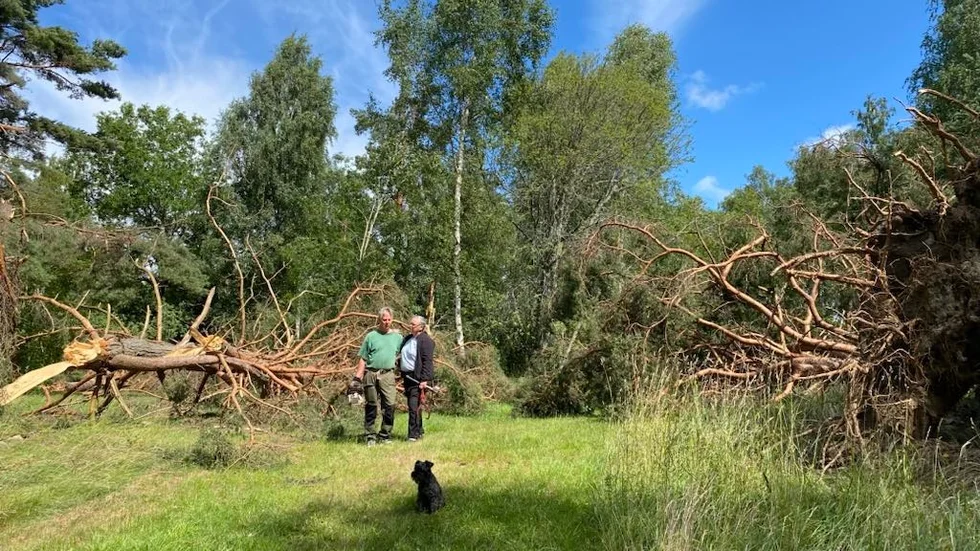 Annika Isacsson och Johan Ekwall blev hårt drabbade men är samtidigt lättade att ingen kom till skada.