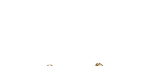 Grinda Yvette Earrings Gold 