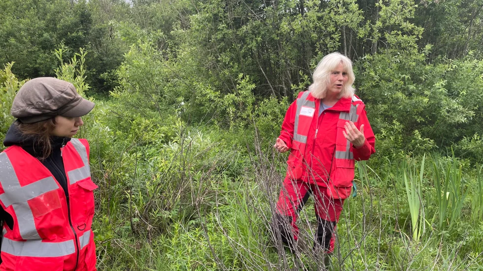 Just nu är det lugnt på myggfronten i områden runt Nedre Dalälven, konstaterar Martina Schäfer och Sandra Holmgren-Molin vid Biologisk myggkontroll.