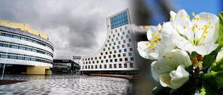 "Inte ens gruvan är lika kal som Kirunas nya torg"