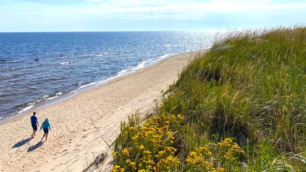 Sandgrönnorna är en av platserna som ska inventeras i sommar. SLU Artdatabanken ska ta reda på hur kustdynorna i Norrbotten mår och Sandgrönnorna är en av de utvalda öarna.