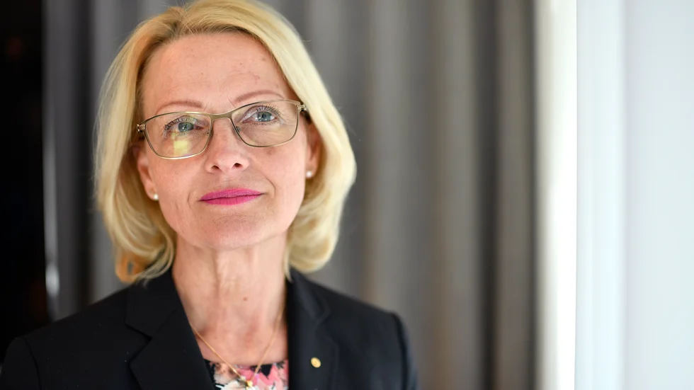 Socialdemokratiska Europaparlamentsledamoten Helene Fritzon går till storms mot Tyskland men glömmer bort vad hennes parti har gjort mot tyskarna.