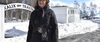Attraktiva området – nu ska det avgöras: ✔Museum ✔Restaurang