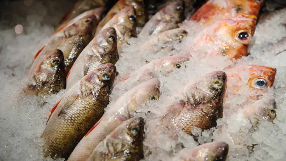 Efter att förhöjda halter av miljögiftet PFAS har upptäckts i fisk från Vättern ändrar nu länsstyrelsen sina kostrekommendationer.