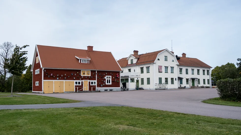 De vuxna behöver visa respekt och omtanke, menar insändarskribenten.