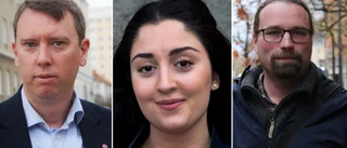 Vikmång och Sayeler blir oppositionsråd på heltid