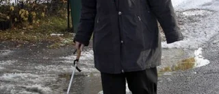 Slår ett slag för Vita käppens dag