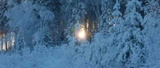Var är våra politiker som ska representera Norrland?