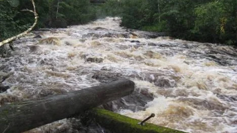 Efter allt regn de senaste dagarna forsar Stockforsälven fram som en vårflod. Bilden tagen vid Nedre dammet i Stockfors.