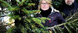 Ökad optimism i skogen