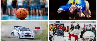 SPORTRUMMET: Berisha vann rivalmötet • Wehlin fick sig i Höstmedeln