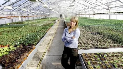 Annica Rönnqvist ägare av Annicas handelsträdgård, tycker det är tråkigt att kommunens sommarblommor inte är lokalproducerade, men hennes företag står inte och faller med kommunleveransen till Piteå. "Jag levererar till andra kommuner som Älvsbyn och Arvidsjaur," säger hon.