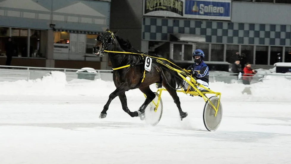 Konstig. Long Night har haft en märklig resa från ett lopp där hästen vann silverdivisionen på V75.