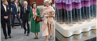 Nederländskt kungabesök kan stärka life science-arbetet i Uppsala
