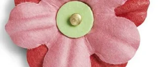 Majblommegala för fattiga barn