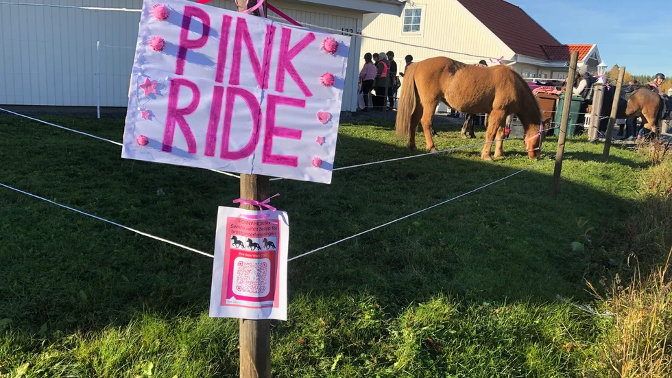Martina Schäfer inspirerades av amerikanska ryttare i Klippiga bergen som brukade ordna ”Pink Rides” för att gynna forskning om bröstcancer.
