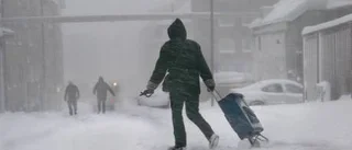 Tunga transporter drabbades hårt