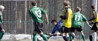 Kanonskott sänkte Rosvik