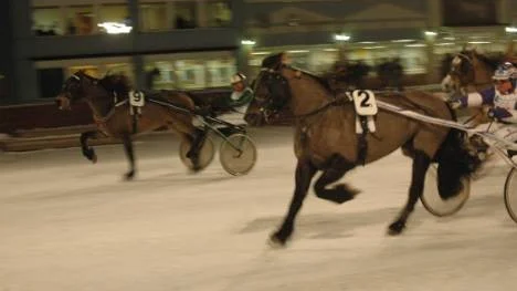 Polar Joker (närmast kameran) håller undan med knapp marginal före ettrigt spurtande Nickel Tabac i V5-3. Lasse Marklund spårade varenda meter av loppet med 20-oddsaren.