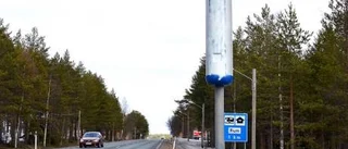 Sabotage mot fartkameror i Sangis