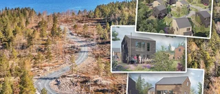 41 arkitektritade hus planeras utanför Öregrund • "Jättestort intresse" • Då blir det inflytt