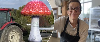 Sveriges första svampfestival – för nördar och vanligt folk: "Det finns godis med karljohansvamp för barnen"