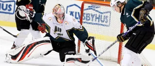 Så gick seriefinalen