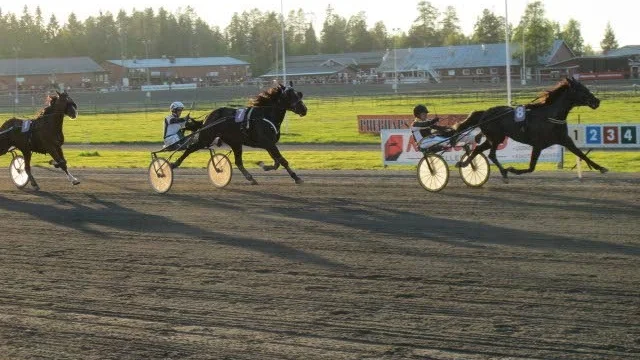 Tar Åge Hornline täten i V64-1.