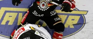 Tre av Vihko visade vägen
