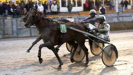 bra start. Love Above, här med Patrik Nygren, såldes till Jesper R Nilsson efter V75-helgen i juni. I går vann han i Boden.Foto: Eurobild