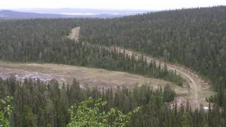 SKOGSRIKE. Att Sverige är ett land täckt av träd skapar möjligheter - och konflikter.