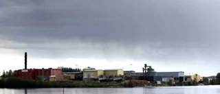 Stenvalls Trä etablerar sig på Lövholmen - sex får jobb
