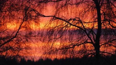 Vinterbilder från Klubbgärdet.