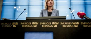 Budgetförslag med ny profil