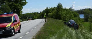 Bilist väjde för djur och körde av vägen