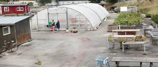 Samhällets utveckling går åt fel håll