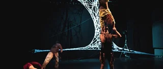 Sverigepremiär för Fauna cirkus