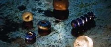 Ett storverk på solid arkeologisk grund