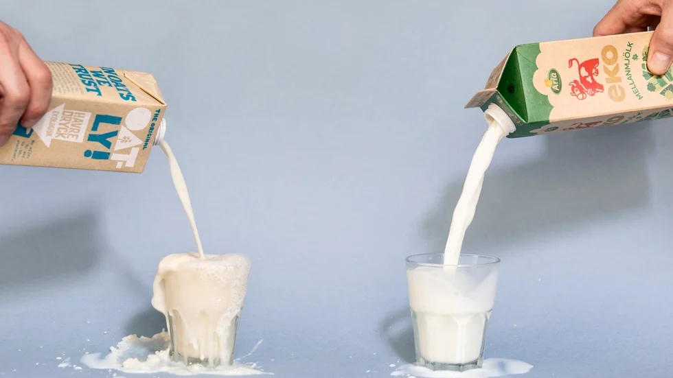 Havredryck från Oatly och mellanmjölk från Arla har testats i undersökningen. Arkivbild.
