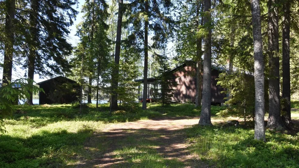 Kallax.