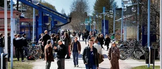 Bottenbetyg för universitetet