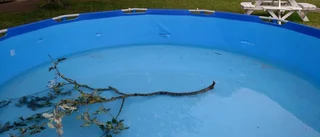 "De högg sönder barnens pool"