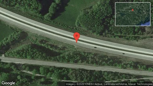 Rådjur på vägen på E20
