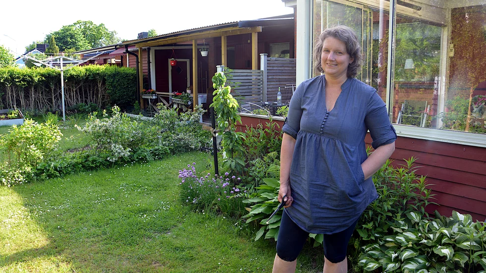 Anna Pettersson tycker saxen är det bästa redskapet i kampen mot mördarsniglarna. Men hon måste hålla efter dagligen om hon ska få ha sina odlingar någorlunda ifred.