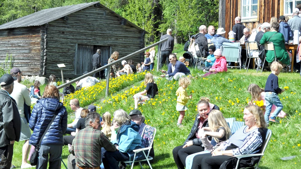415 personer samlades för att fira Sveriges nationaldag vid Hängengården på hembygdsområdet i Glommersträsk. 