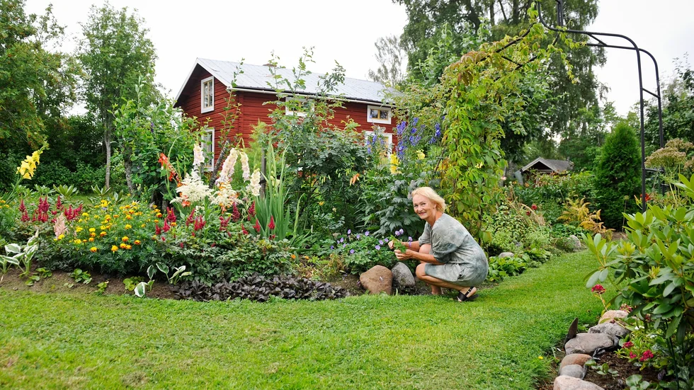 I trädgården finns buskar, fruktträd och blommor som bland annat astilbe, gladiolus, pioner, riddarsporre, vildvin, rododendron, funkia och i bågen dansk klätterros. 

