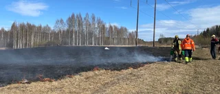 Gräsbrand på Sjungande dalen – branden spred sig snabbt: ”Inte varit något som har varit hotat”