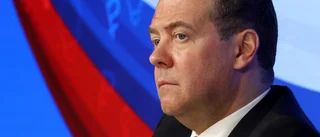 Medvedev om Natoansökan: Ett mindre hot